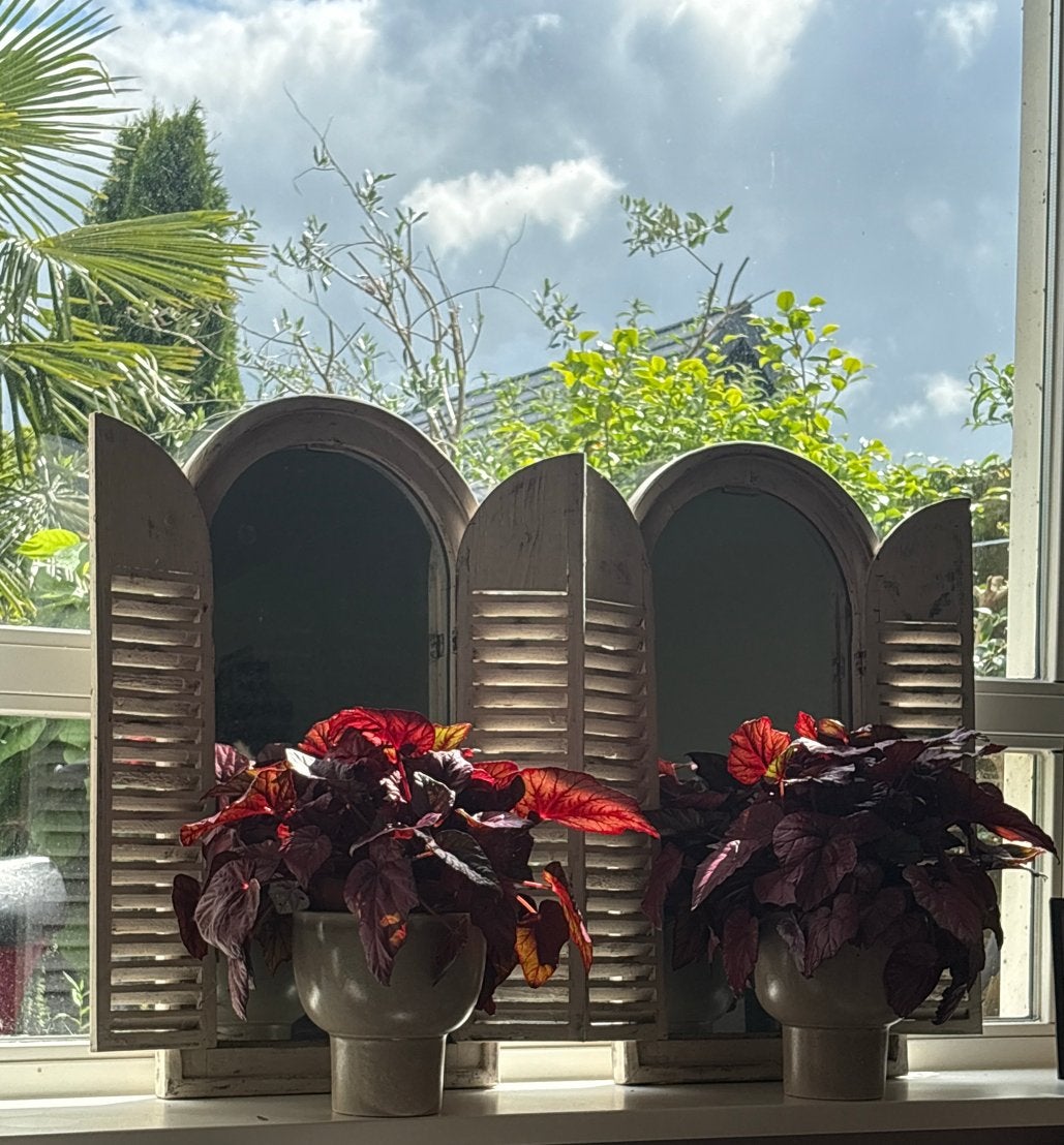 Decoratieve luiken met spiegels, Hout, Gebruikt, Ophalen of Verzenden, Landelijk