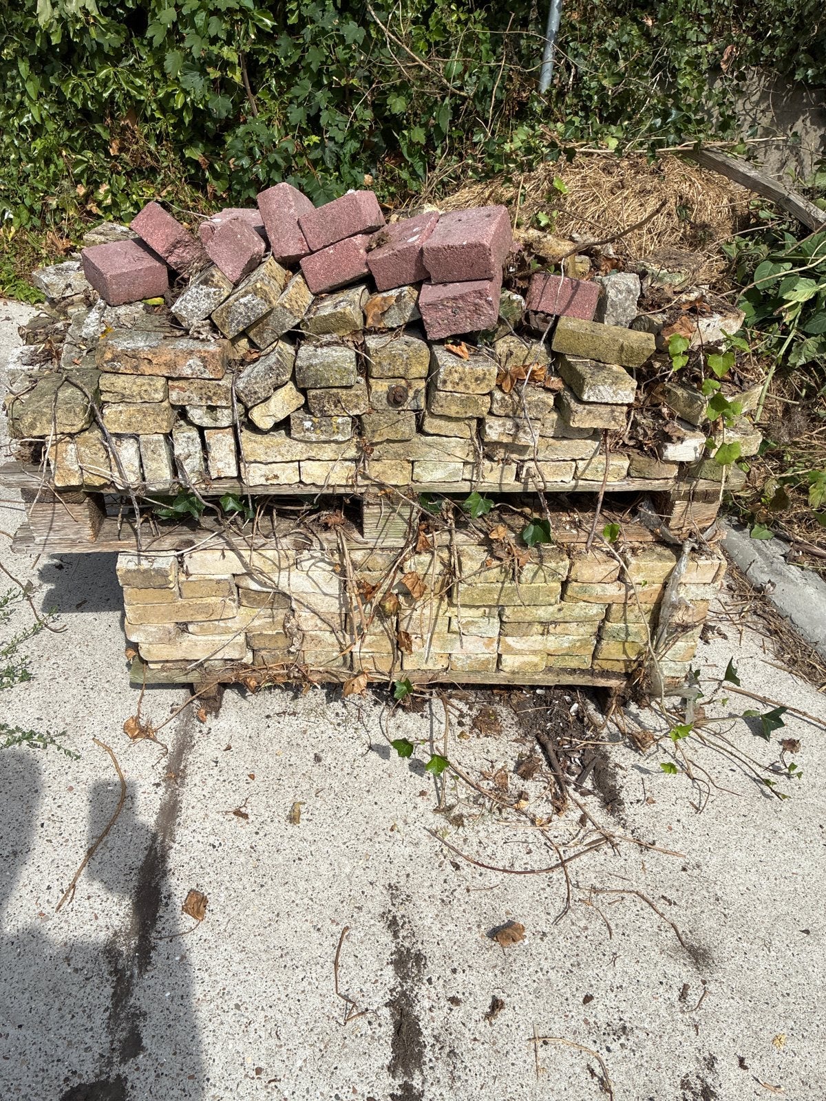 2 pallet met oude geeltjes ongeveer 550 stuks, Ophalen, Gebruikt, Overige typen