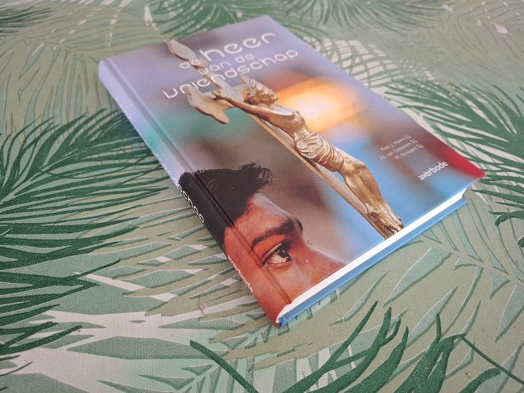 DE HEER VAN DE VRIENDSCHAP - J. Haers (Spiritualiteit), Boeken, Achtergrond en Informatie, Ophalen of Verzenden, Zo goed als nieuw