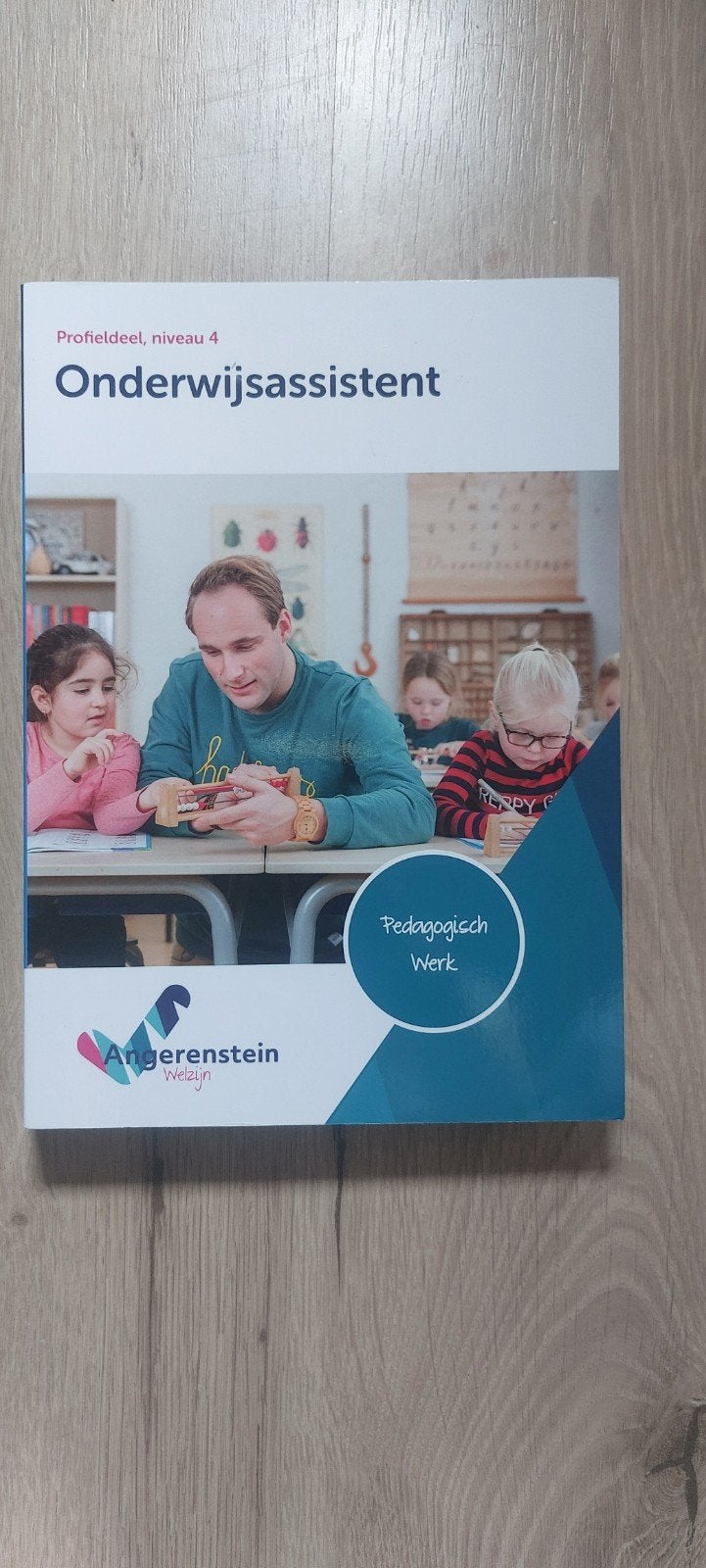 Onderwijsassistent, Boeken, Schoolboeken, Zo goed als nieuw, Nederlands, Overige niveaus, Ophalen of Verzenden