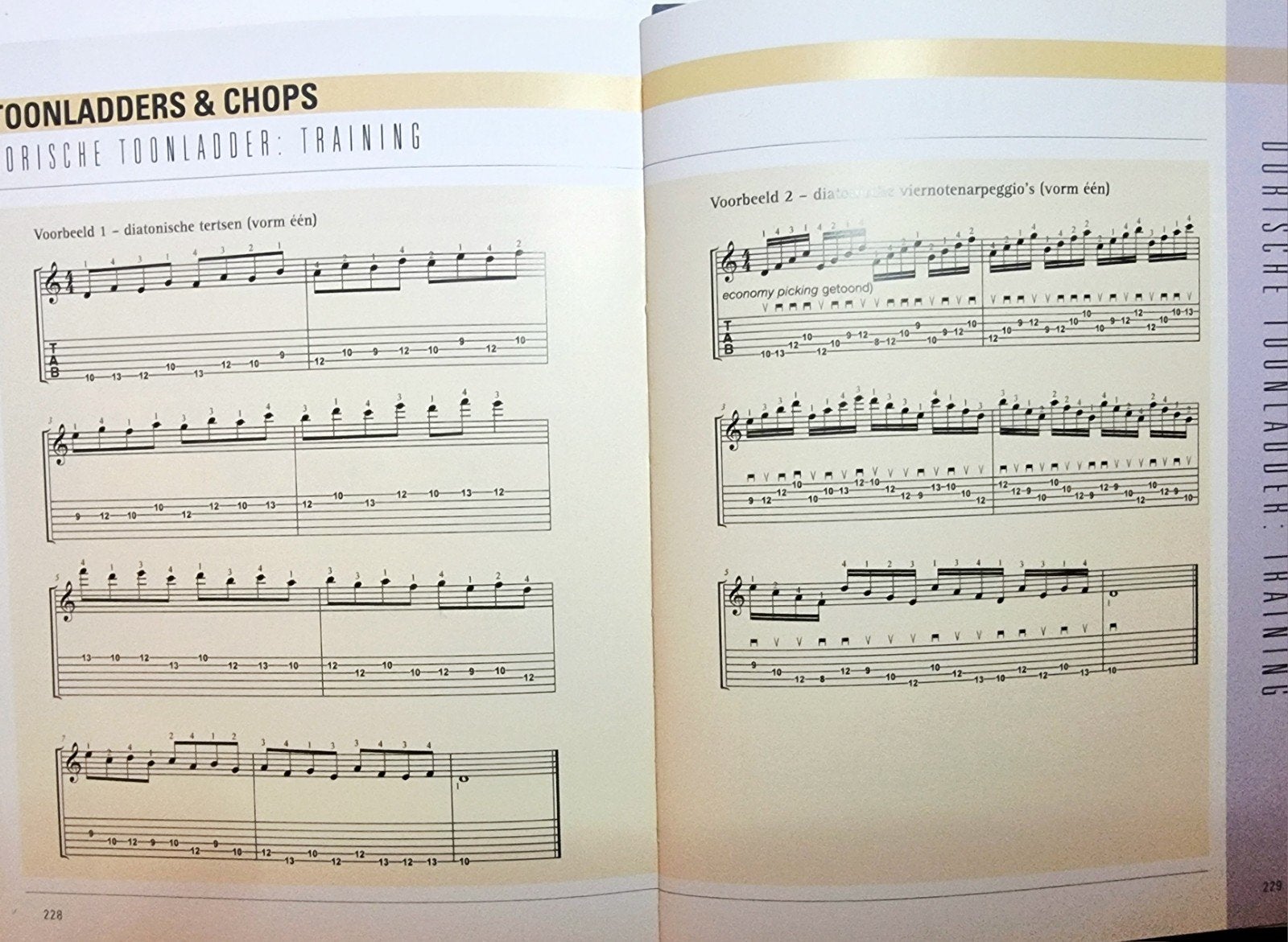 100 Riffs & Fills voor Rockgitaar . Capone (Boek + CD Git56), Gitaar, Verzenden, Les of Cursus, Nieuw