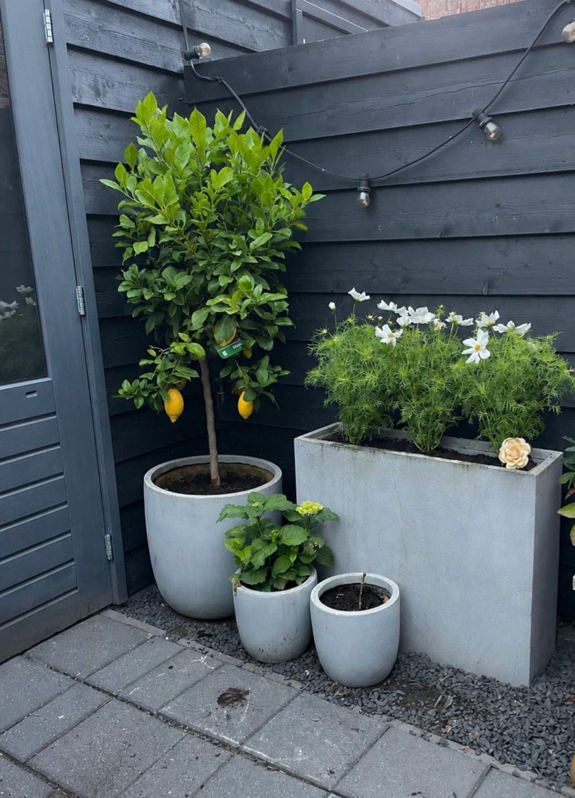 6 stuks beton look plantenbak/ potten voor buiten 6 stuks, Tuin en Terras, Bloembakken en Plantenbakken, Ophalen, Gebruikt, Balkon