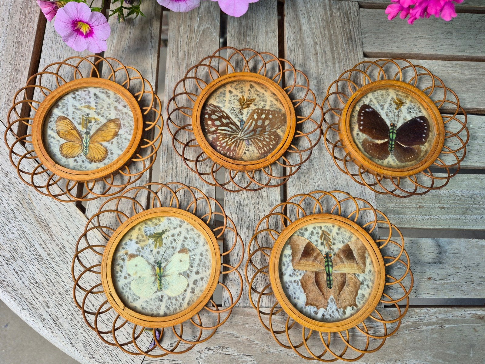 5 vintage Boheemse houten onderzetters met vlinders in glas, Ophalen of Verzenden, Gebruikt, Glas