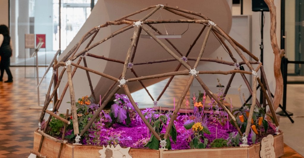 GEODOME HUBS KIT (met stokken), Ophalen of Verzenden, Gebruikt, Overige typen
