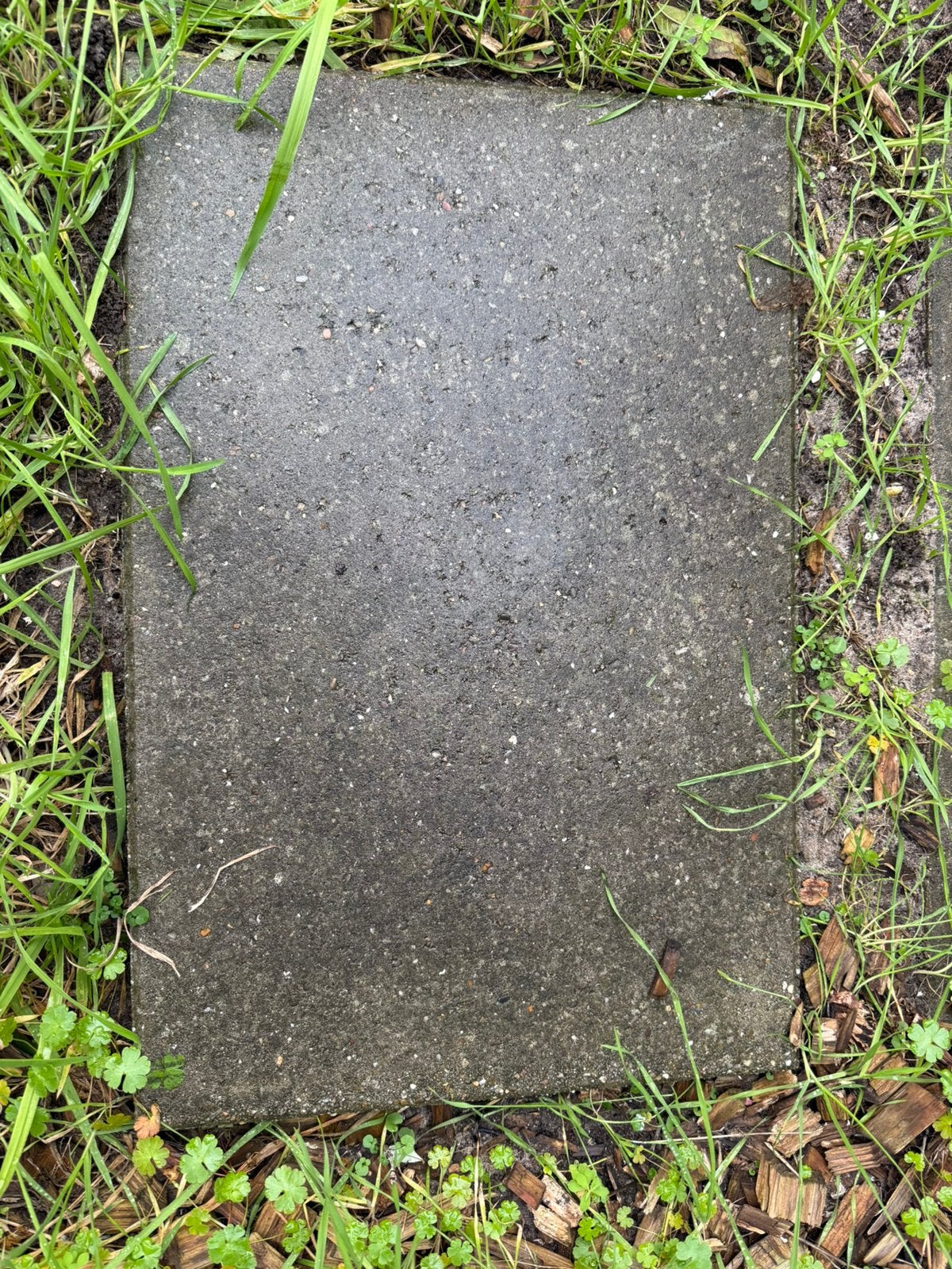 Tuintegels GRATIS!, Ophalen, Steen of Klei, Zo goed als nieuw, 15 m² of meer
