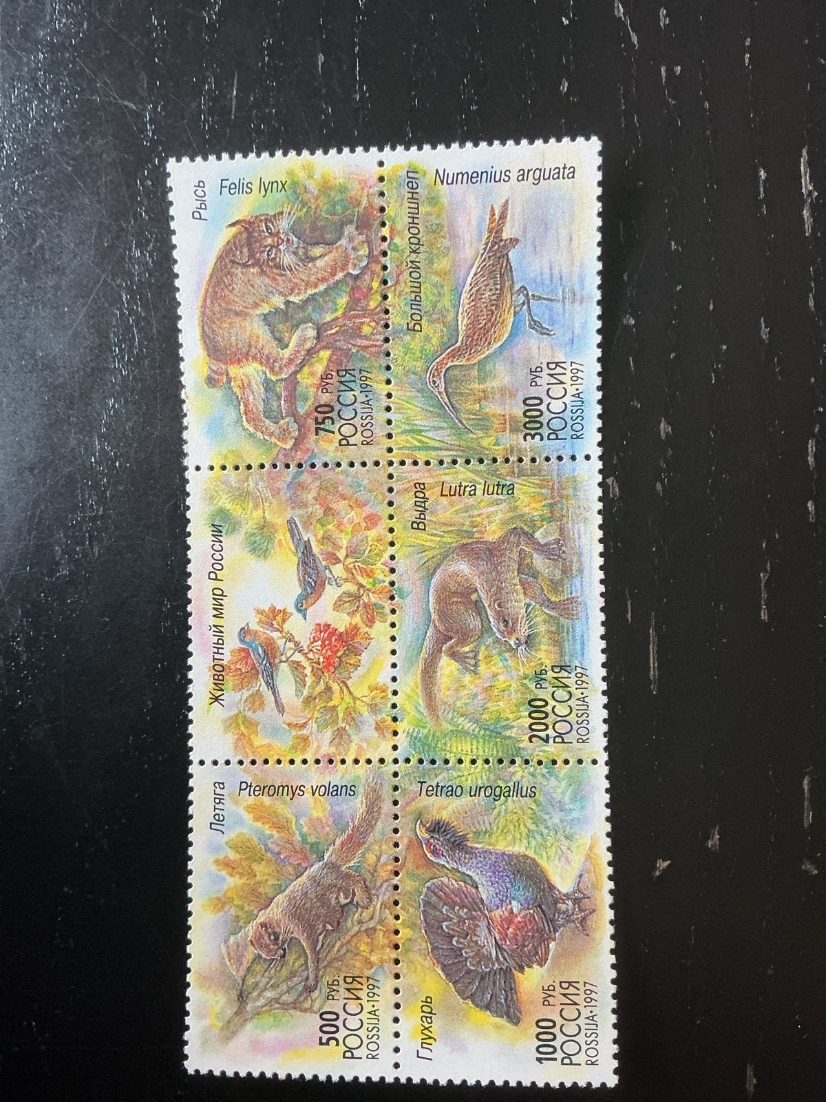 Russische postzegels 1997 - Dieren van Rusland (6 stuks), Postzegels en Munten, Ophalen of Verzenden, Postfris