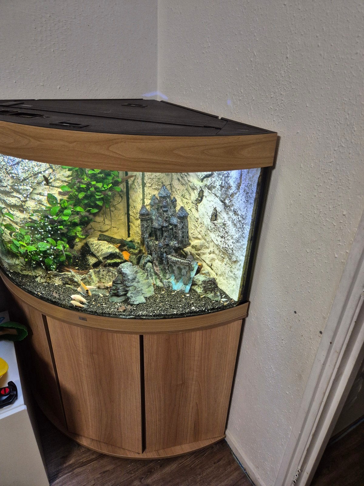 Juwel trigon 190 met helialux verlichten en smartcontrol, Ophalen, Zo goed als nieuw, Leeg aquarium, Verwarming