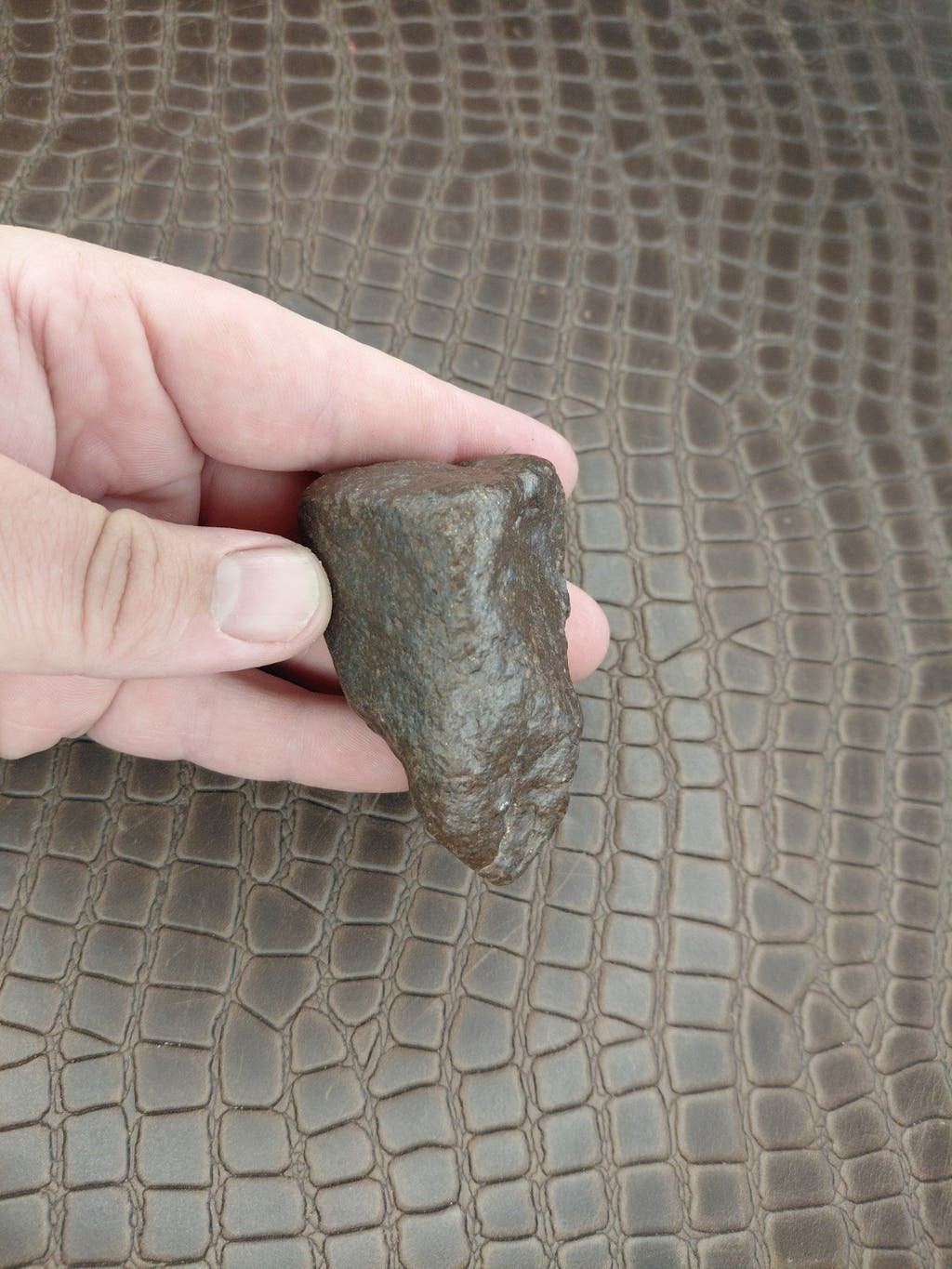 164 gram zware steen Meteoriet, Verzenden