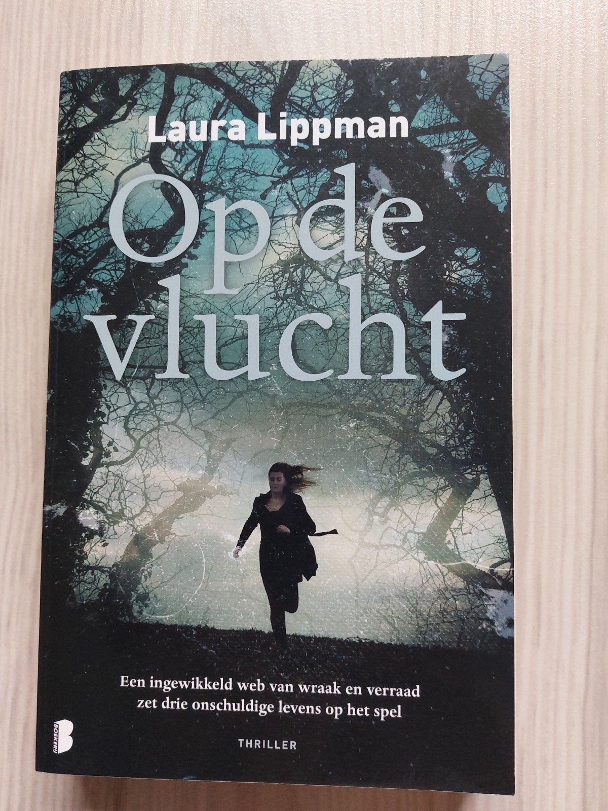 Thriller op de vlucht van Laura Lippman, Ophalen of Verzenden, Gelezen, Laura Lippman