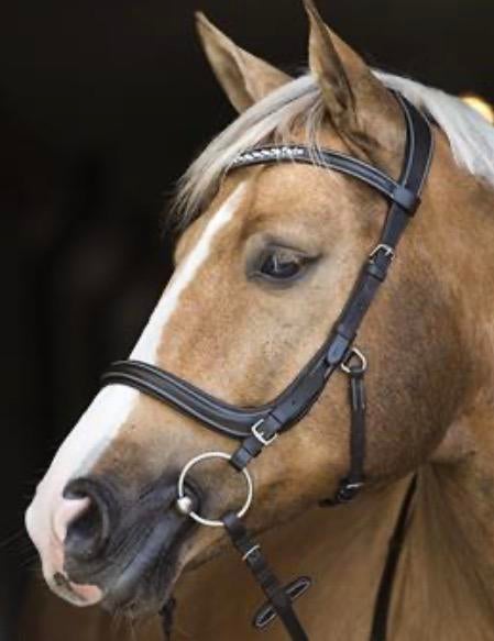 Horsegear Styx hoofdstel, bruin, cob izgs, Dieren en Toebehoren, Ophalen of Verzenden, Zo goed als nieuw, Dressuur