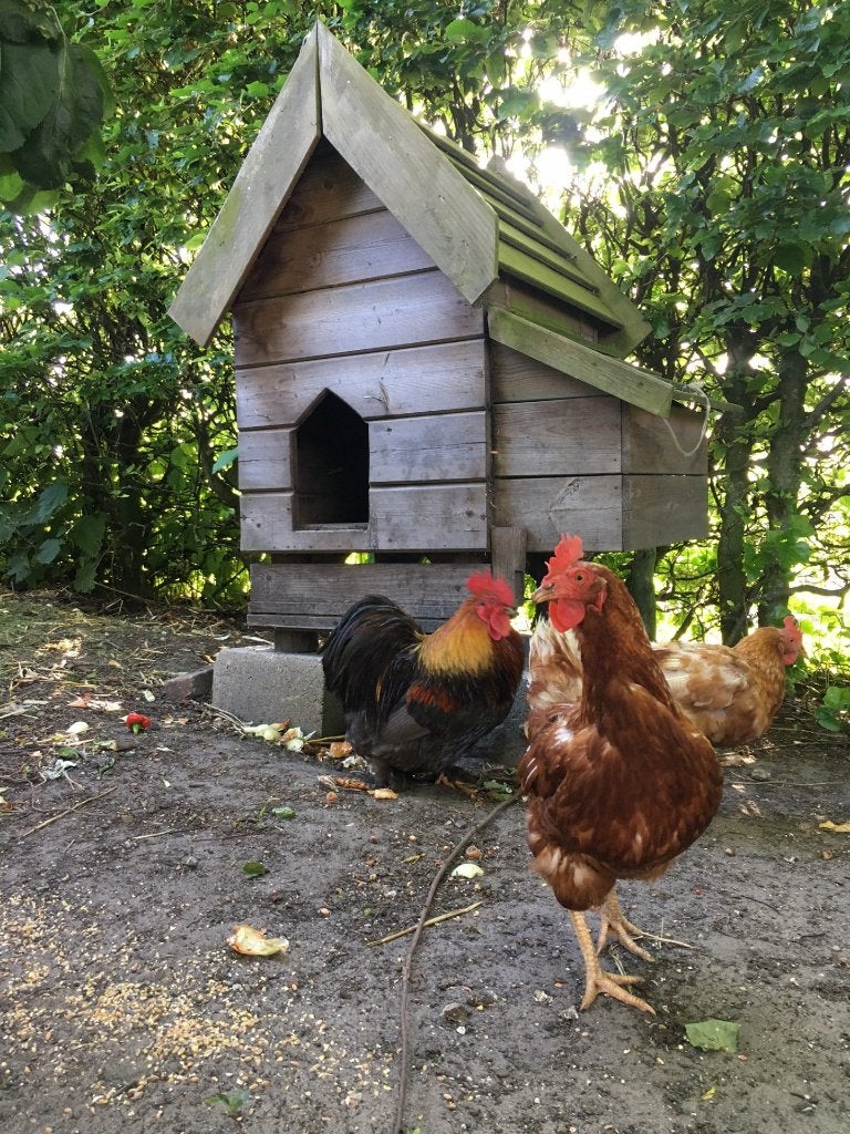 klein kippenhok VERKOCHT!, Dieren en Toebehoren, Pluimvee | Toebehoren, Ophalen, Kippenhok of Kippenren