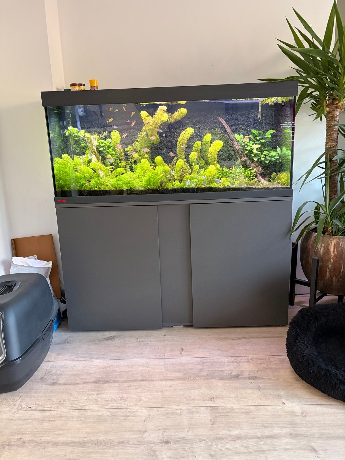 Eheim aquarium+kast incl toebehoren, Ophalen, Inclusief controller, Eheim, Gevuld zoetwateraquarium