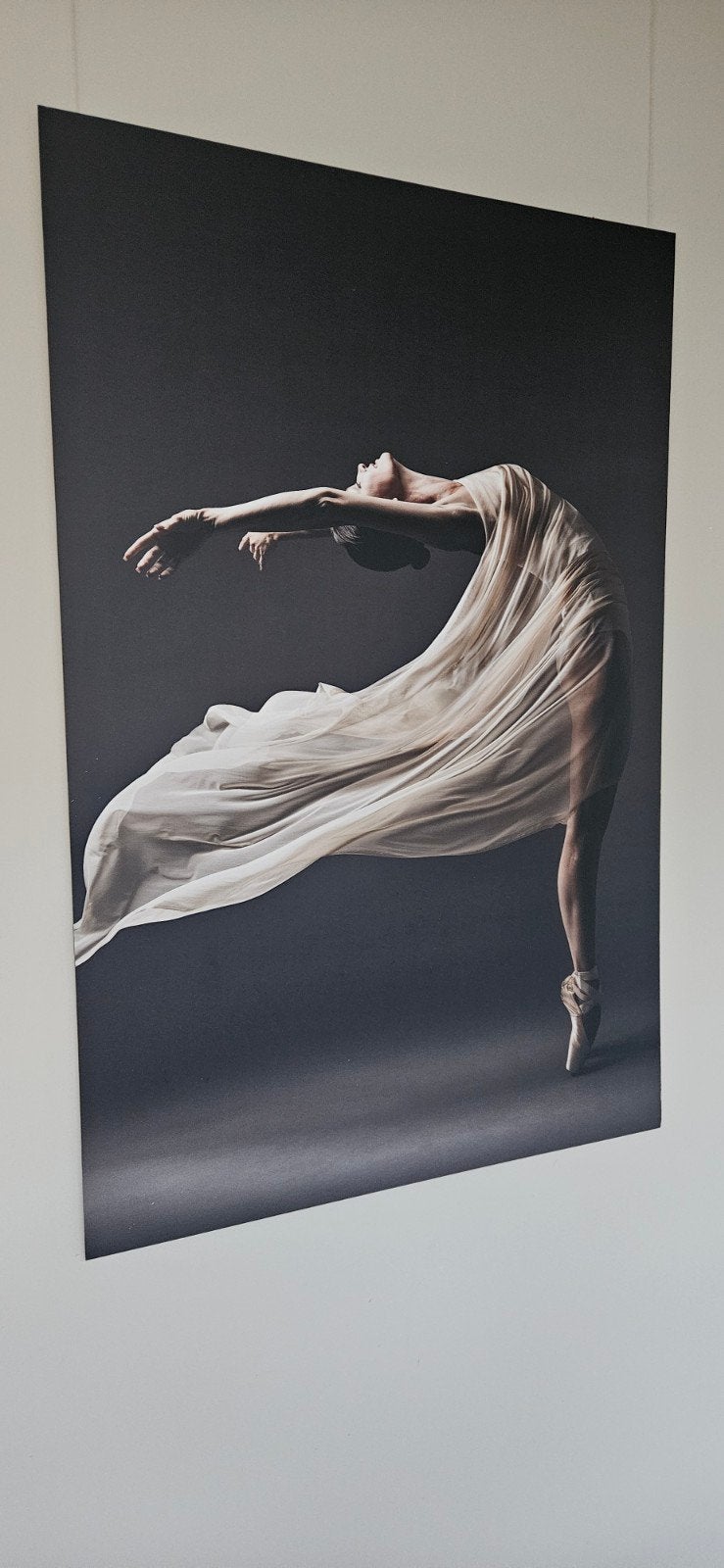 Groot dibond schilderij ballerina 80 x 120 cm, Ophalen