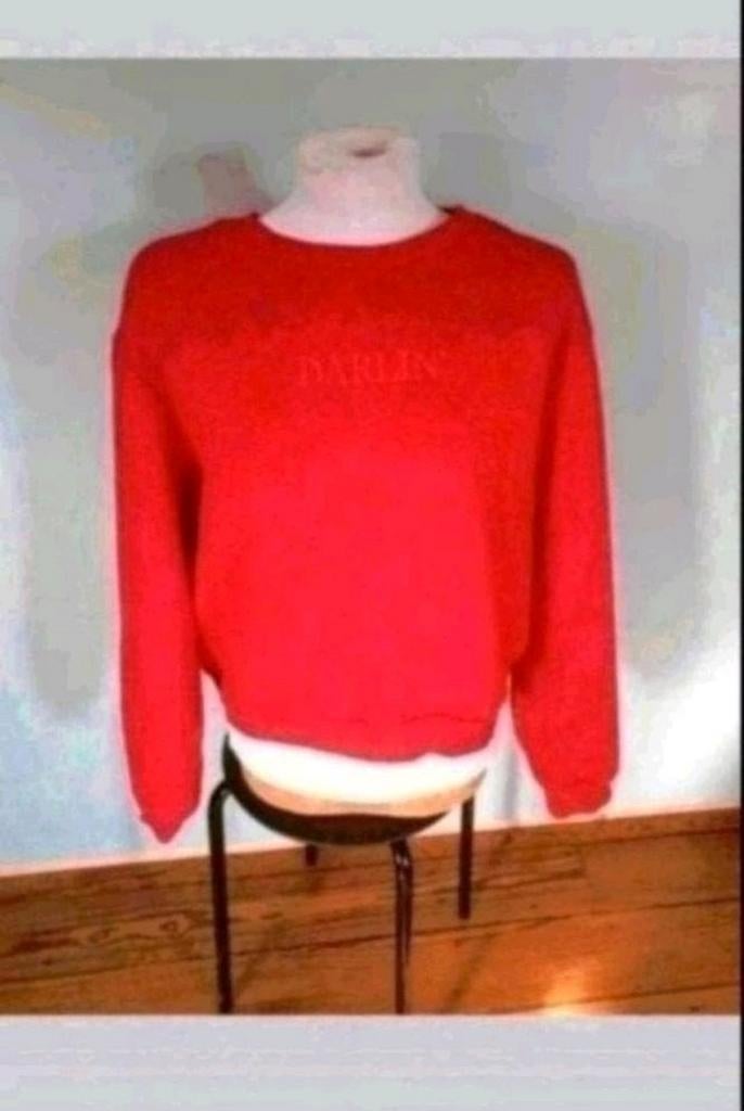 Rood trui maat M, Kleding | Dames, Truien en Vesten, Ophalen of Verzenden, Zo goed als nieuw, Maat 38/40 (M), Rood
