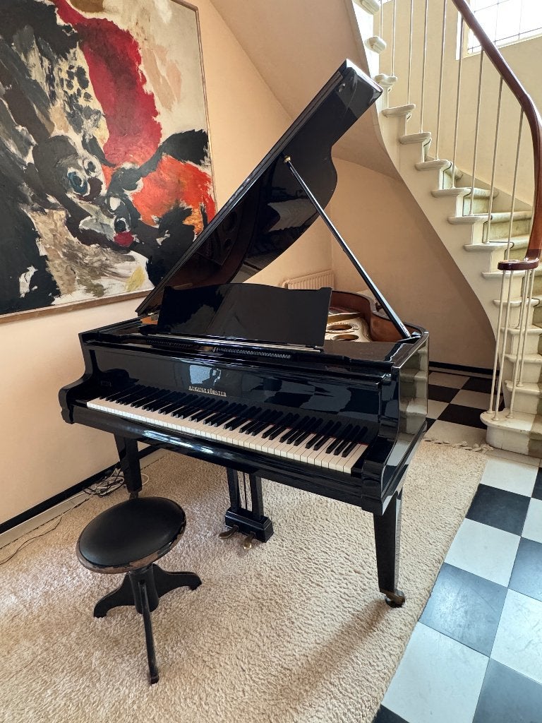 vleugel (piano), Muziek en Instrumenten, Piano's, Ophalen, Gebruikt, Zwart, Hoogglans