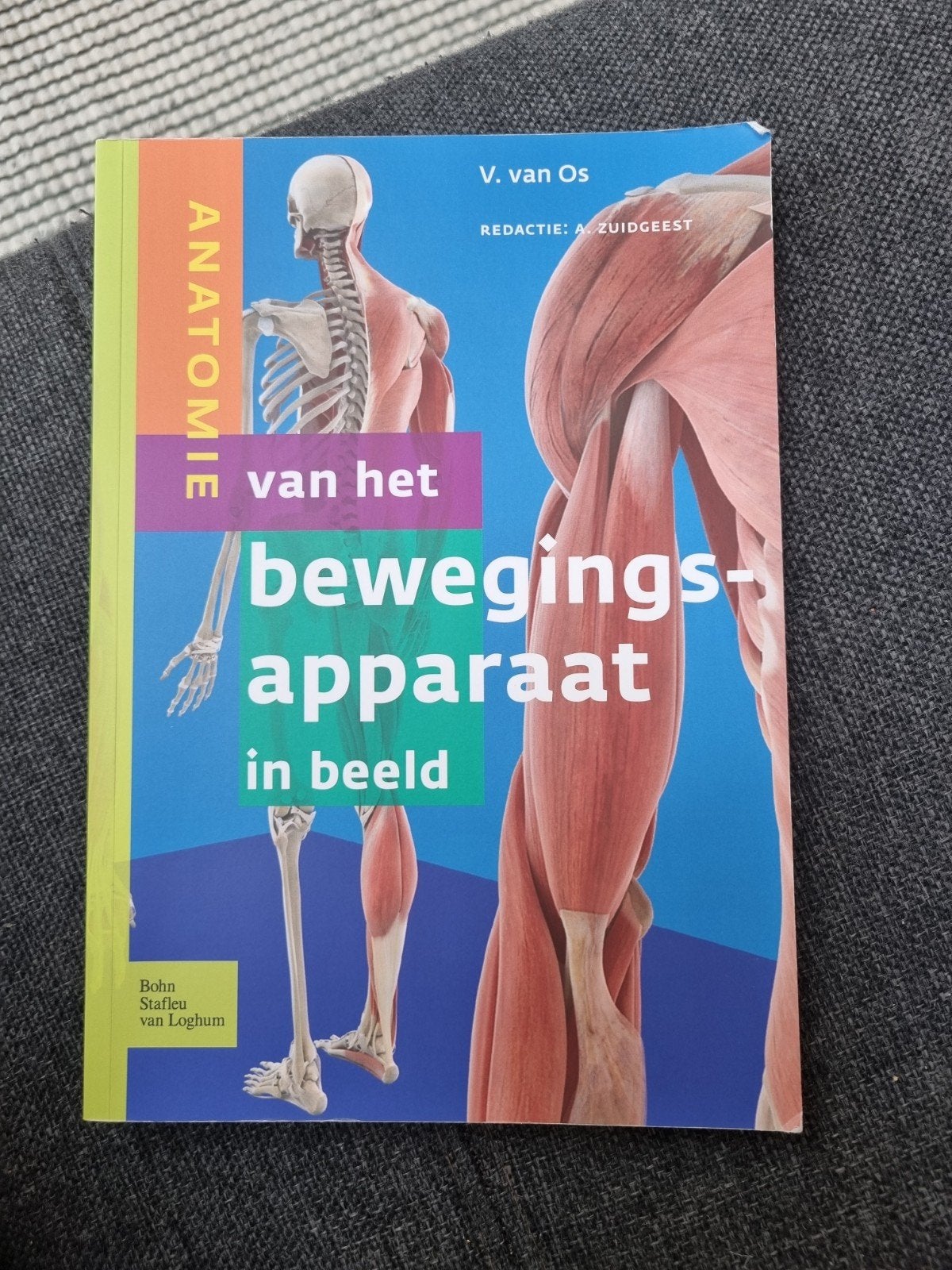 Anatomie van het bewegingsapparaat in beeld - V. van Os, Boeken, Studieboeken en Cursussen, V. van Os, Zo goed als nieuw, Beta