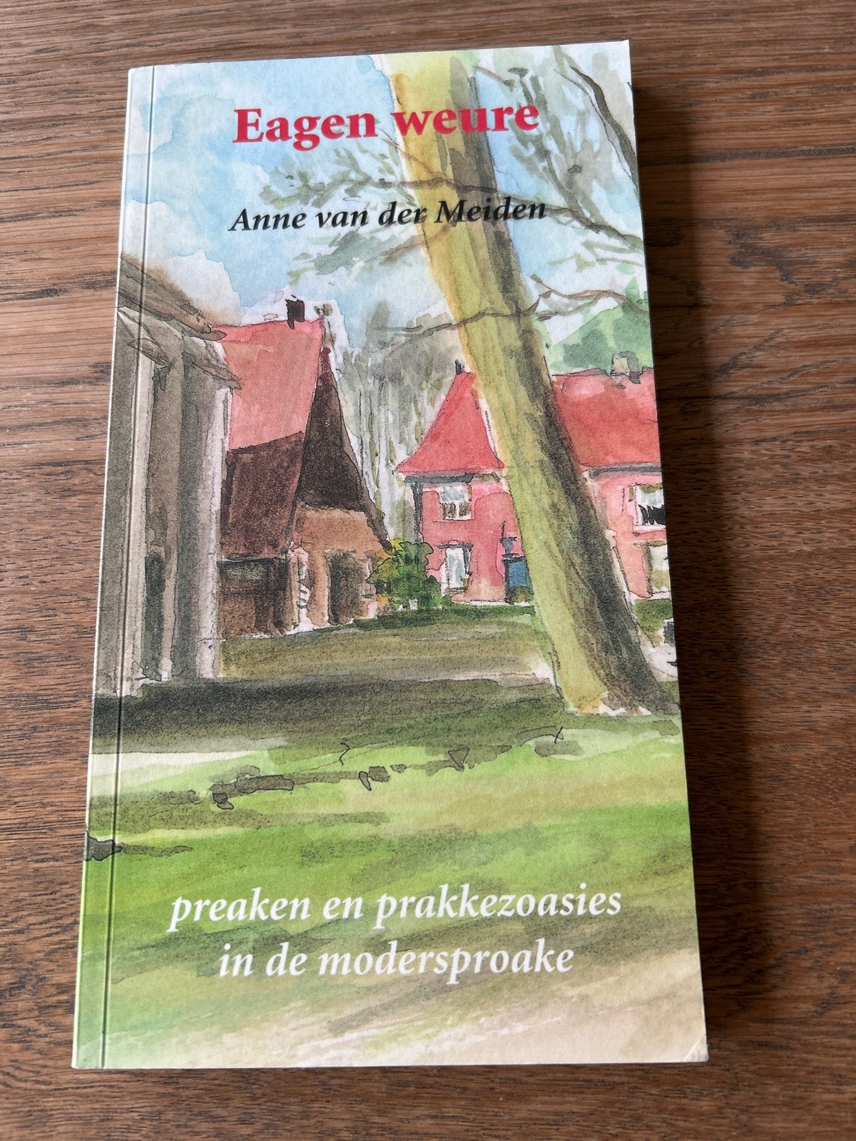 Eagen weure: preaken en prakkezoasies in de modersproake, Ophalen of Verzenden, Zo goed als nieuw, Christendom | Protestants