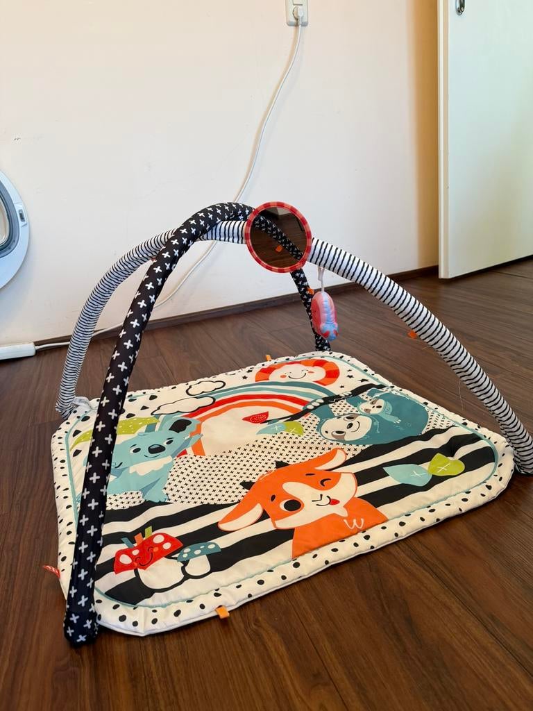 Fisherprice baby speelmat, Ophalen of Verzenden, Zo goed als nieuw