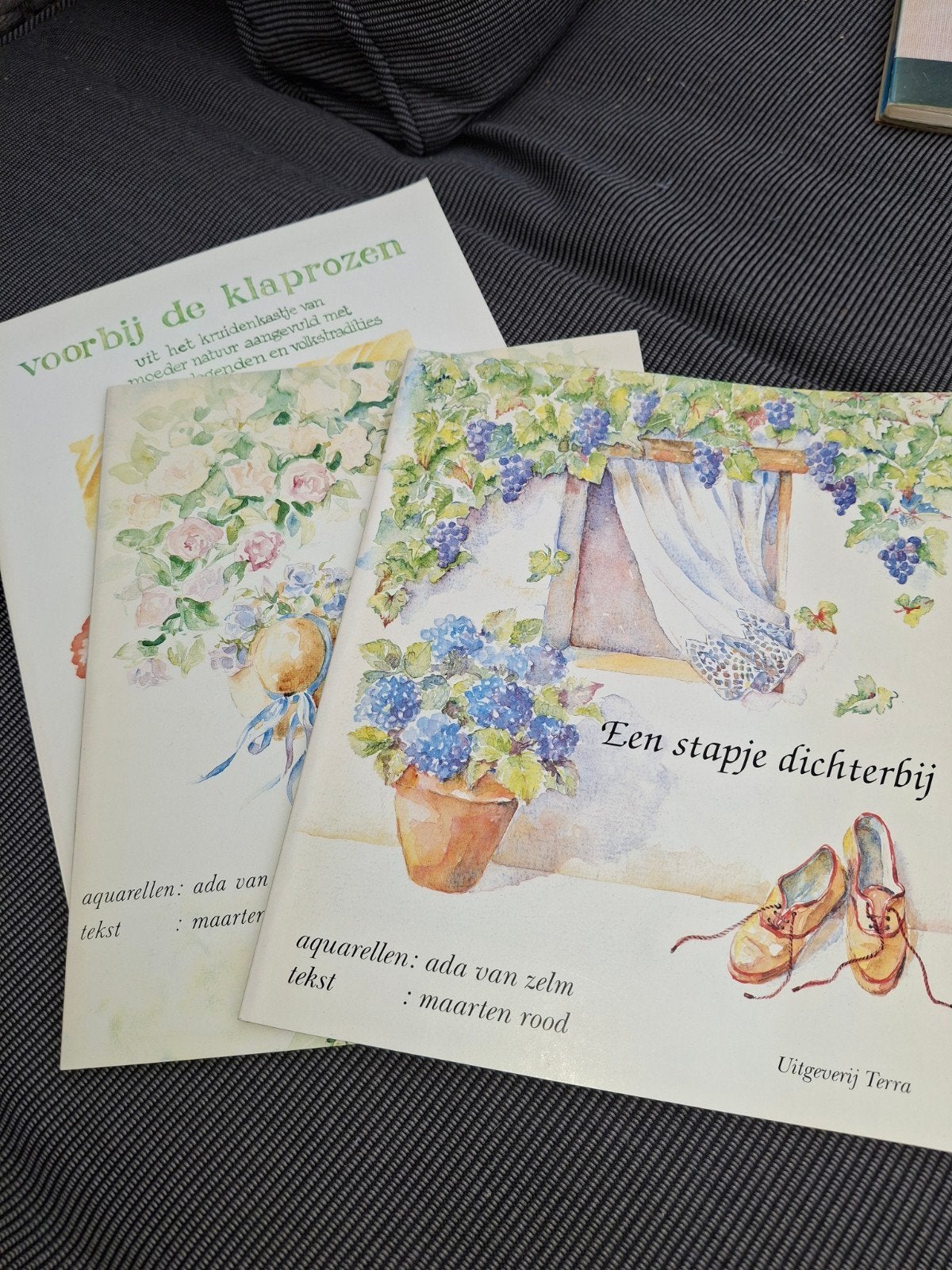 3x Ada van Zelm & Maarten Rood - Geïllustreerde Gedichten, Ophalen of Verzenden, Zo goed als nieuw, Ada van Zelm, Maarten Rood