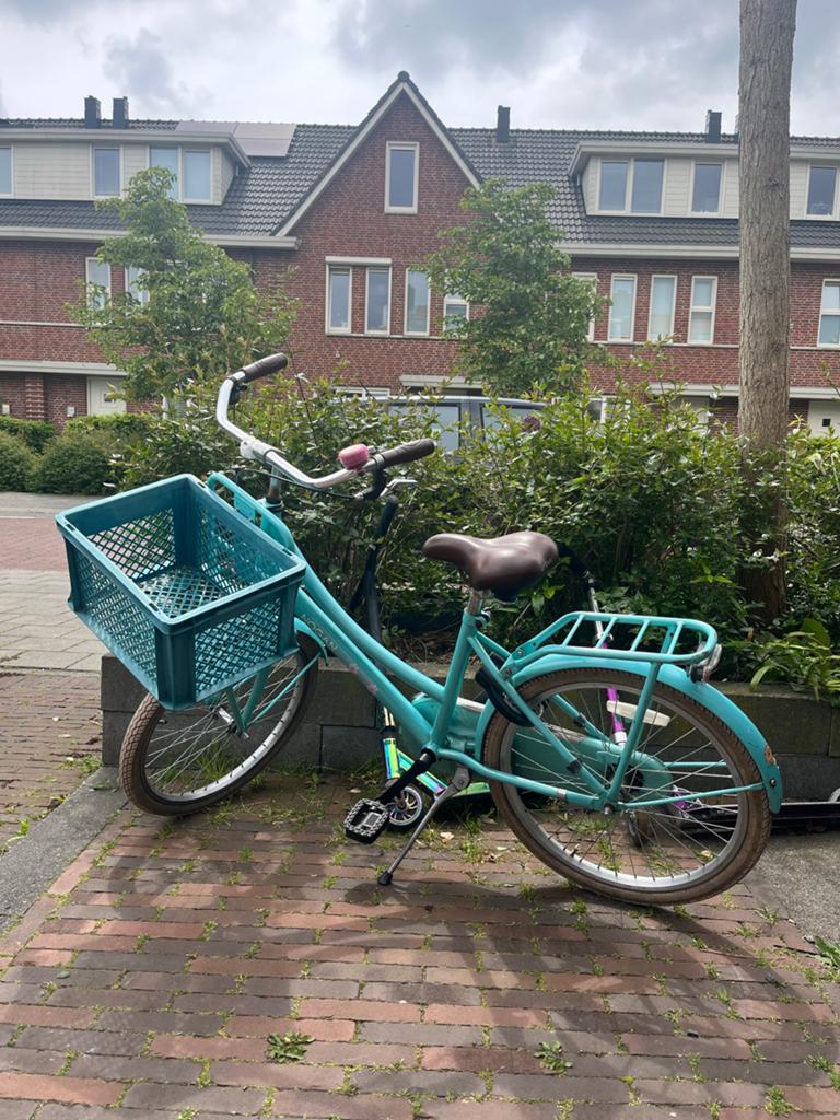 Nogan kinderfiets met Voordrager en Mand - Turquoise, Ophalen of Verzenden, Gebruikt, 20 inch