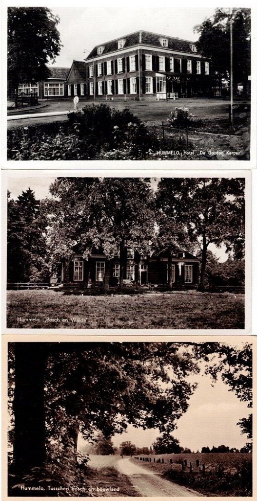 3 Oude Ansichtkaarten Hummelo - Hotel, Bosch en Weide, Verzamelen, Ophalen of Verzenden, 1940 tot 1960, Ongelopen, Gelderland