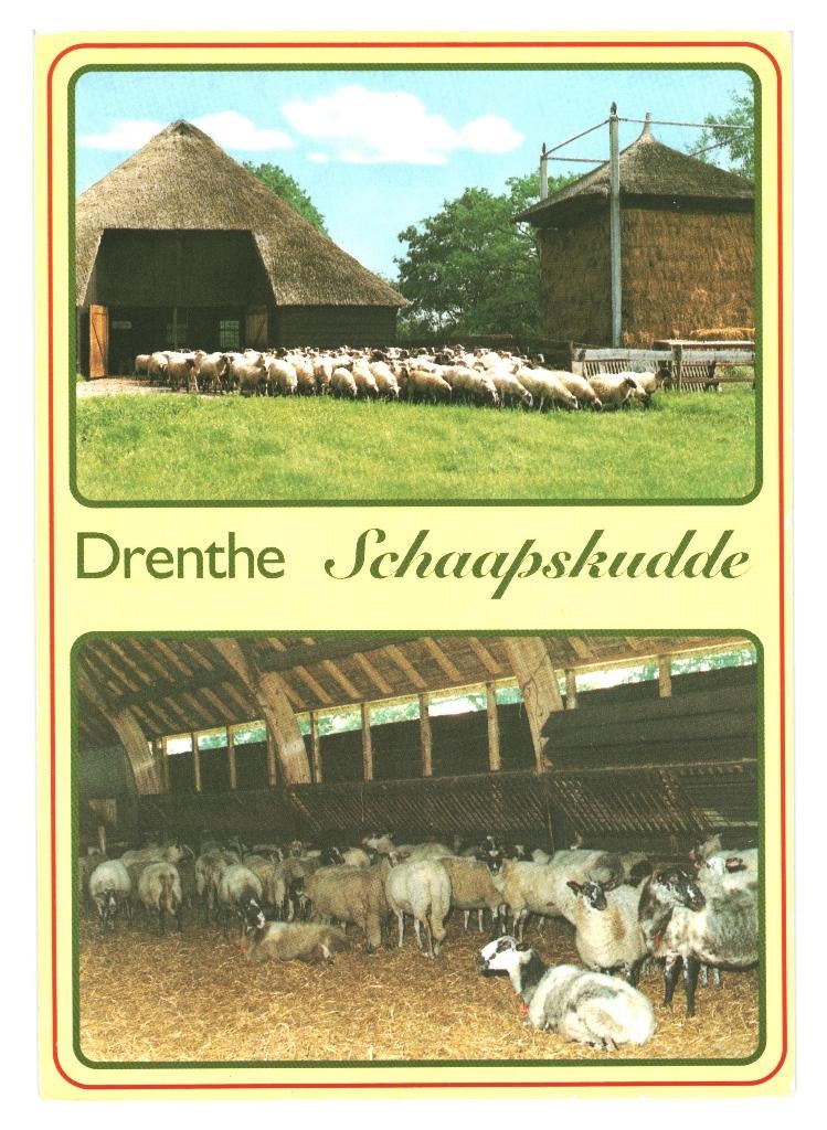 988004 Dr 80+ Schaapskudde Hooiberg  mooie zegel Eurozegel, Ophalen of Verzenden, 1980 tot heden, Gelopen, Drenthe