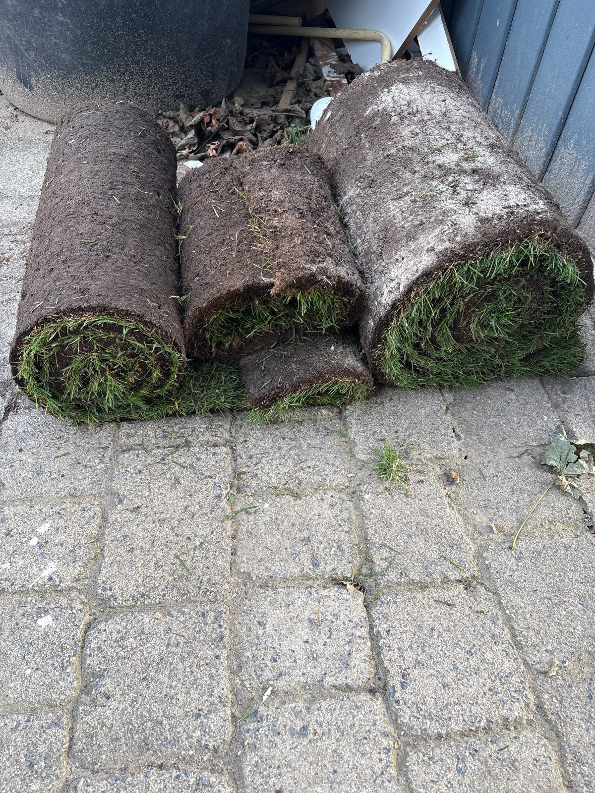 Graszoden - ruim 1,5 m², Tuin en Terras, Ophalen, Gebruikt, Minder dan 10 m², Gras