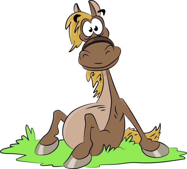 Gezocht stalling voor 3 tot 4 pony’s, Stalling