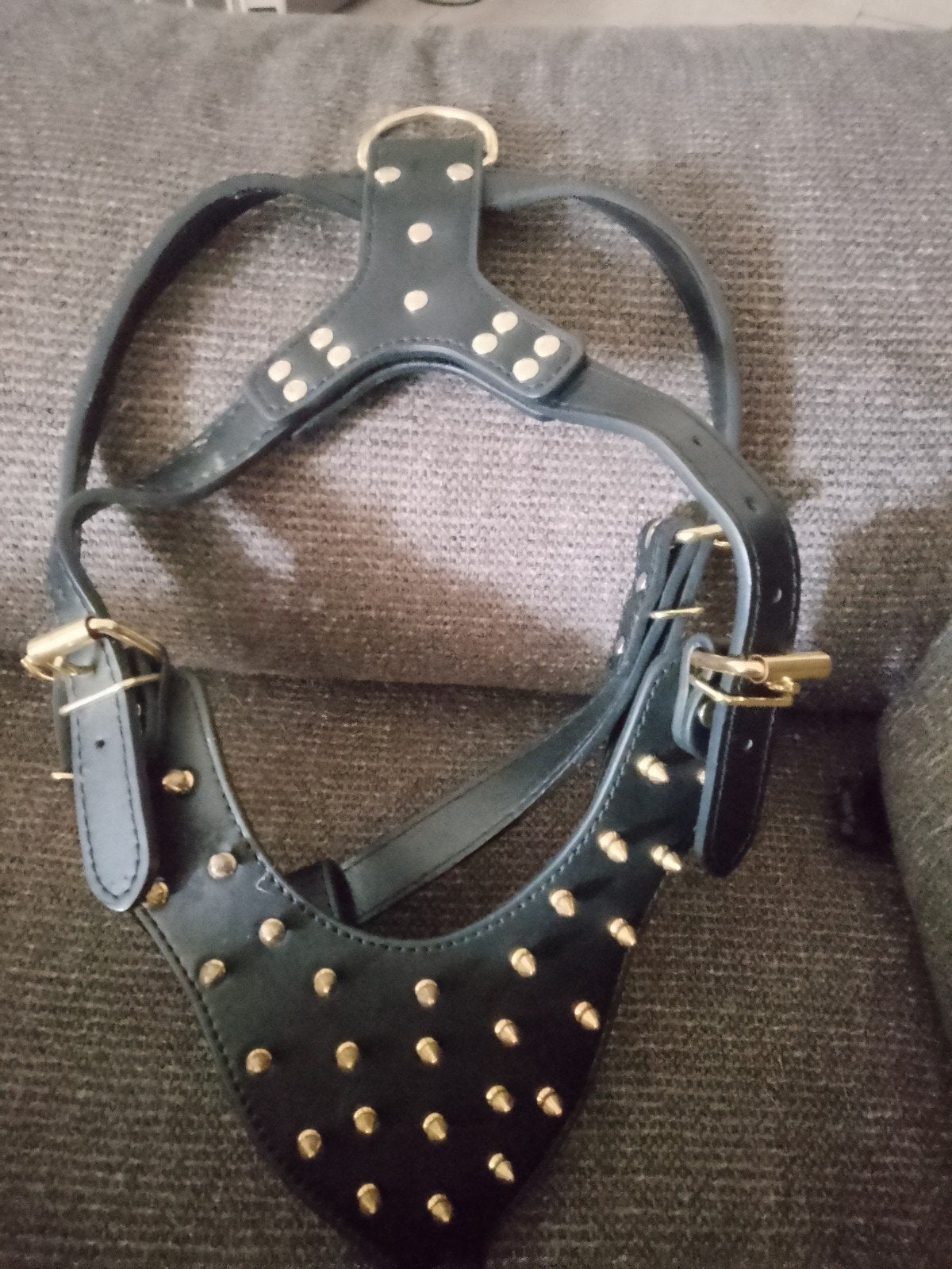 tuigje, Ophalen of Verzenden, Nieuw, Halsband