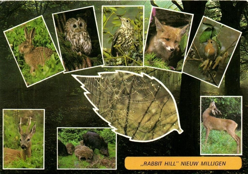 Rabbit Hill Nieuw Milligen - 9 afb - 1987 gelopen, Ophalen of Verzenden, 1980 tot heden, Gelopen, Gelderland