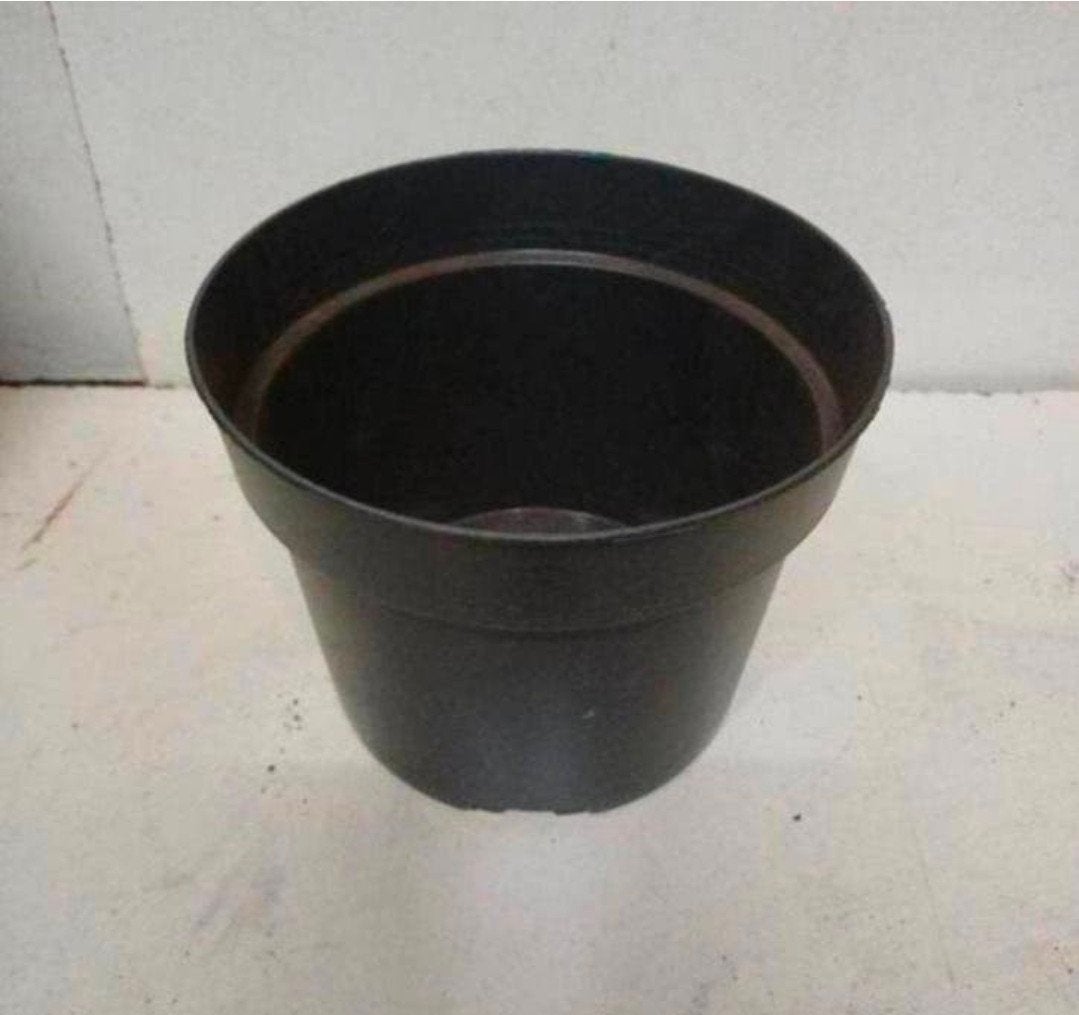Kweekpotten plantenpotten bloempotten 2 liter, Kunststof, Gebruikt, Rond, Ophalen of Verzenden