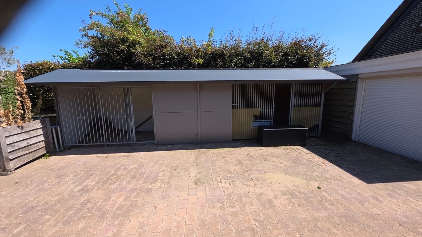 prachtig geisoleerde honden rennen, Ophalen, Zo goed als nieuw, 110 cm of meer, 100 cm of meer