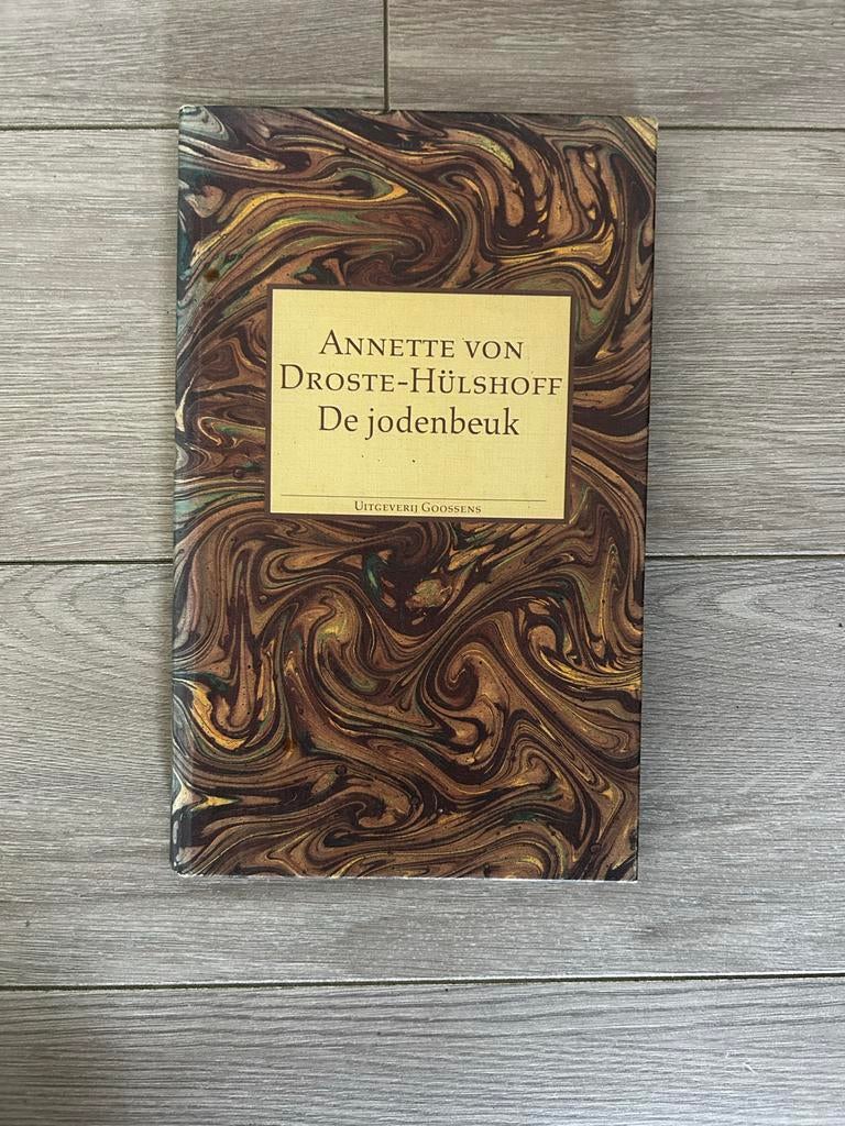 De Jodenbeuk - Hardcover - Annette Von Droste- Hülshoff, Ophalen of Verzenden, Gelezen