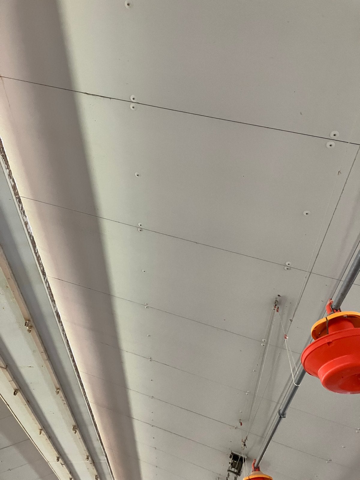 €1 de m2: Gebruikte EPS Isolatieplaten met Aluminium Folie, Doe-het-zelf en Verbouw, Ophalen, 4 tot 8 cm, Gebruikt, Vloerisolatie
