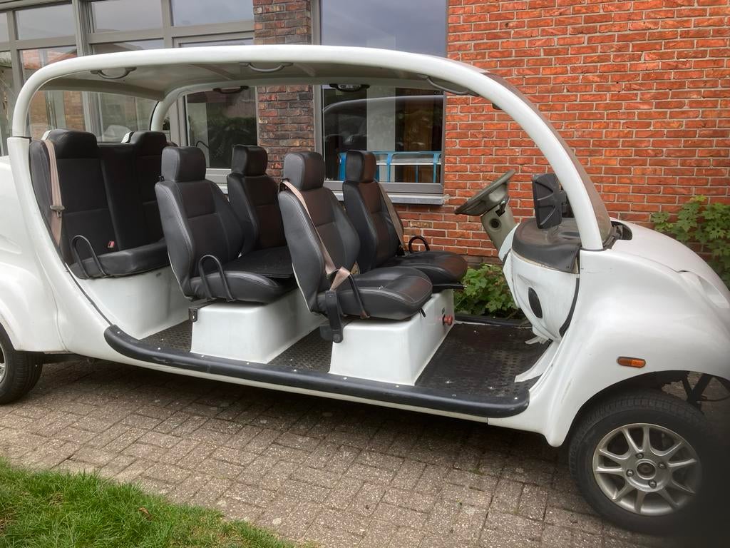 Golfcar, Ophalen of Verzenden