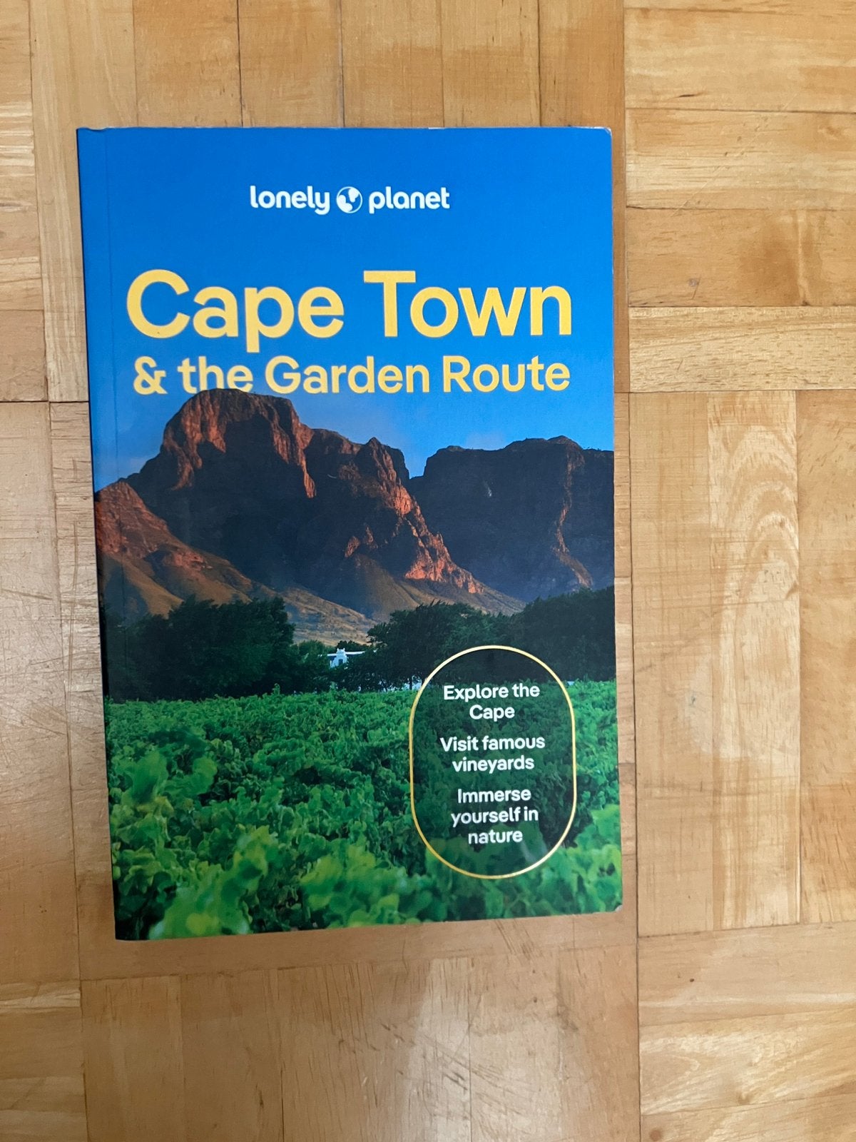 Lonely Planet Kaapstad Cape Town, Gelezen, Afrika, Lonely Planet, Ophalen of Verzenden