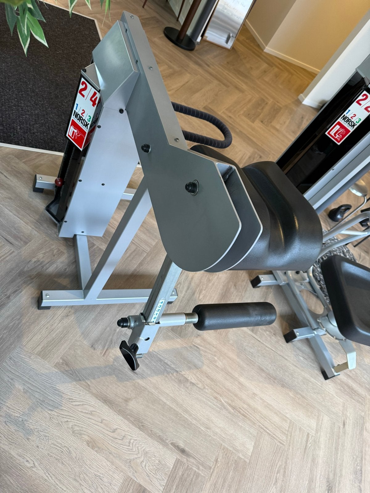 Norsk Krachtstation - hip Extension, Ophalen, Gebruikt, Krachtstation, Metaal