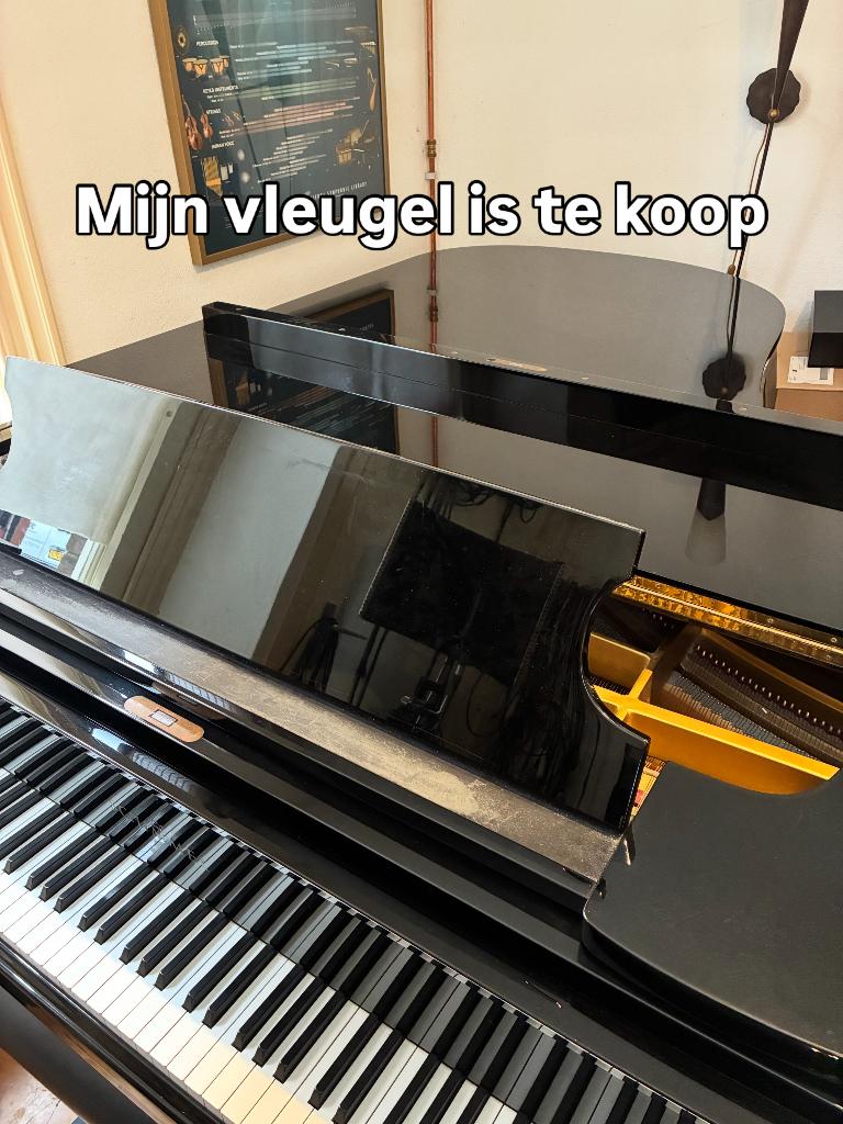 Schimmel vleugel, Ophalen, Gebruikt, Zwart, Hoogglans