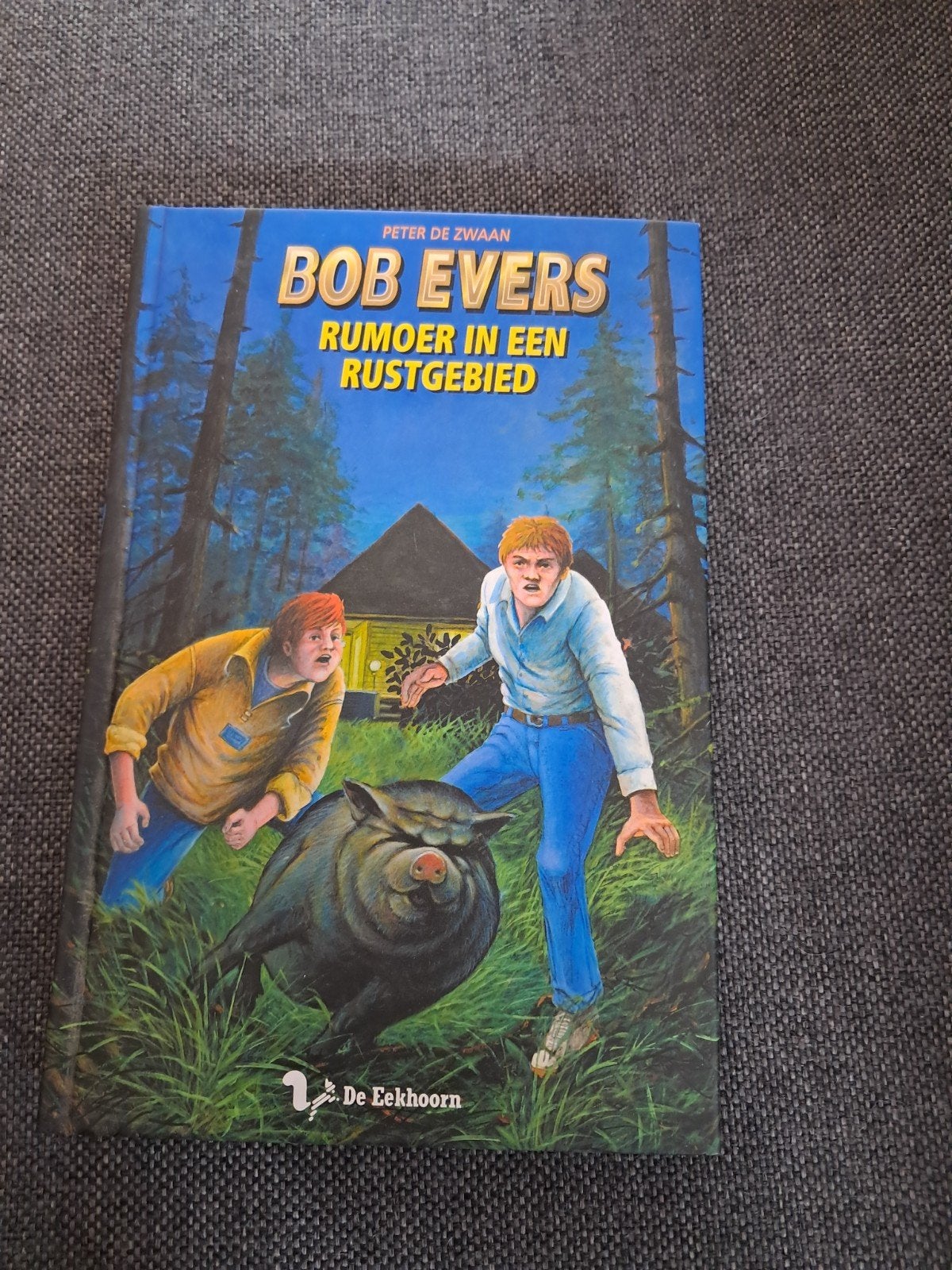 Bob Evers - Rumoer in een rustgebied (Peter de Zwaan), Ophalen of Verzenden