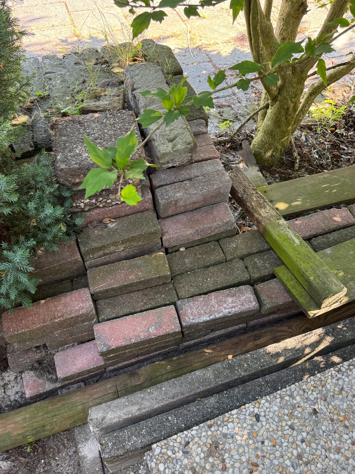 Gebruikte klinkers en borders (gratis ophalen), Ophalen, Gebruikt, Klinkers, 10 m² of meer
