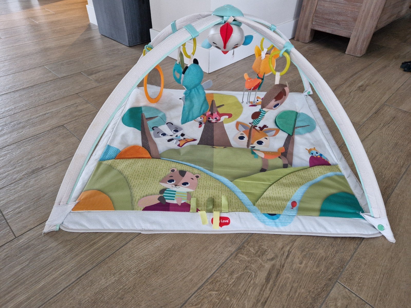Tiny love babygym variant deluxe into the forest, Ophalen, Zo goed als nieuw