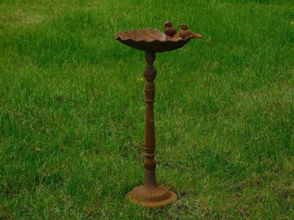 Staand Vogelbad met Vogeltjes - Schelp - Gietijzer, Ophalen of Verzenden, ., ., .