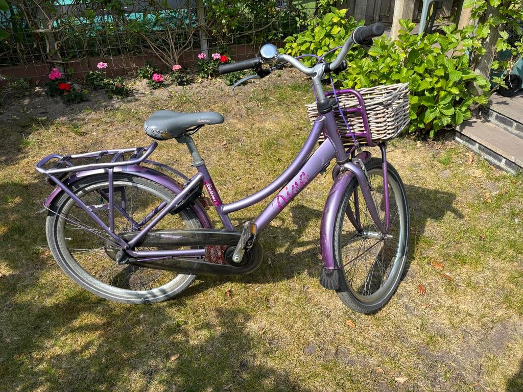 Batavus Diva 24 inch meisjesfiets - Paars - Gebruikt, Ophalen, Terugtraprem, Versnellingen, Gebruikt