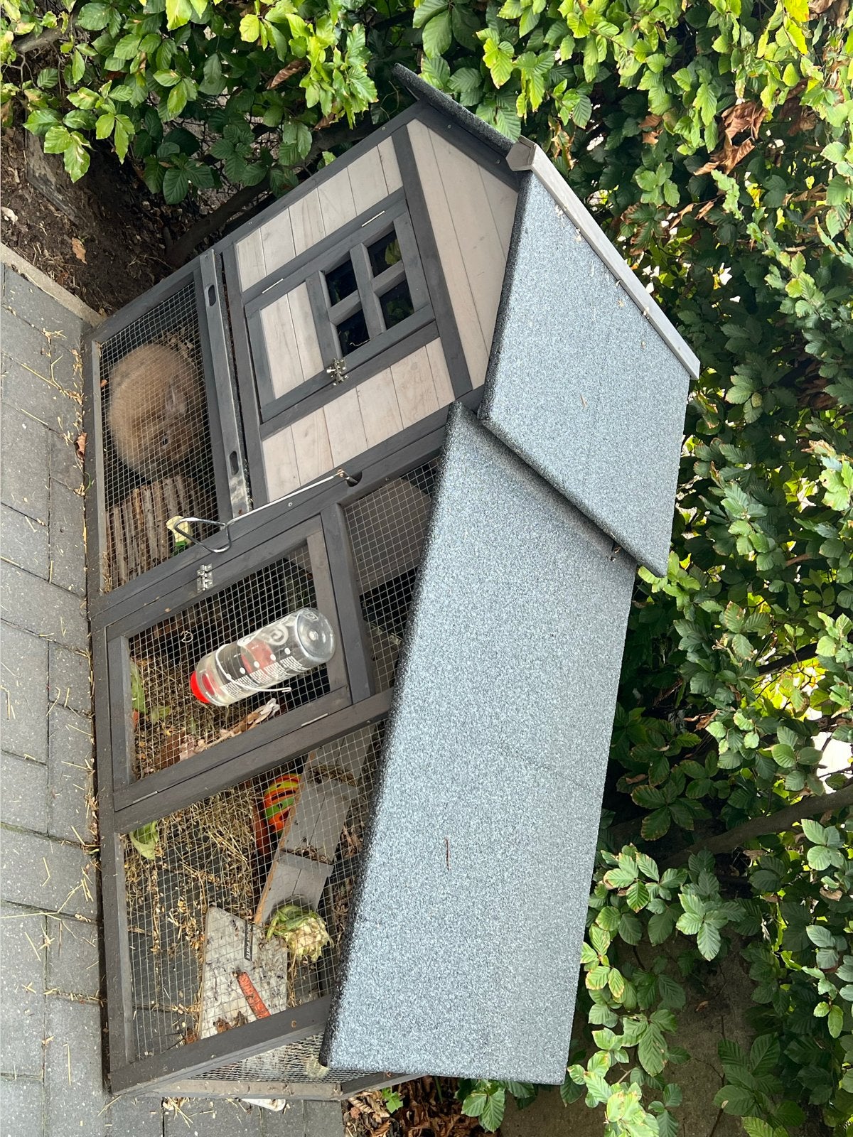 Mooie konijnen/cavia kooi, Dieren en Toebehoren, Ophalen