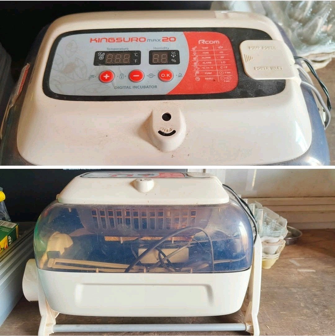 Volautomatische broedmachine Kingsuro - ventilator defect., Dieren en Toebehoren, Pluimvee | Toebehoren, Ophalen of Verzenden