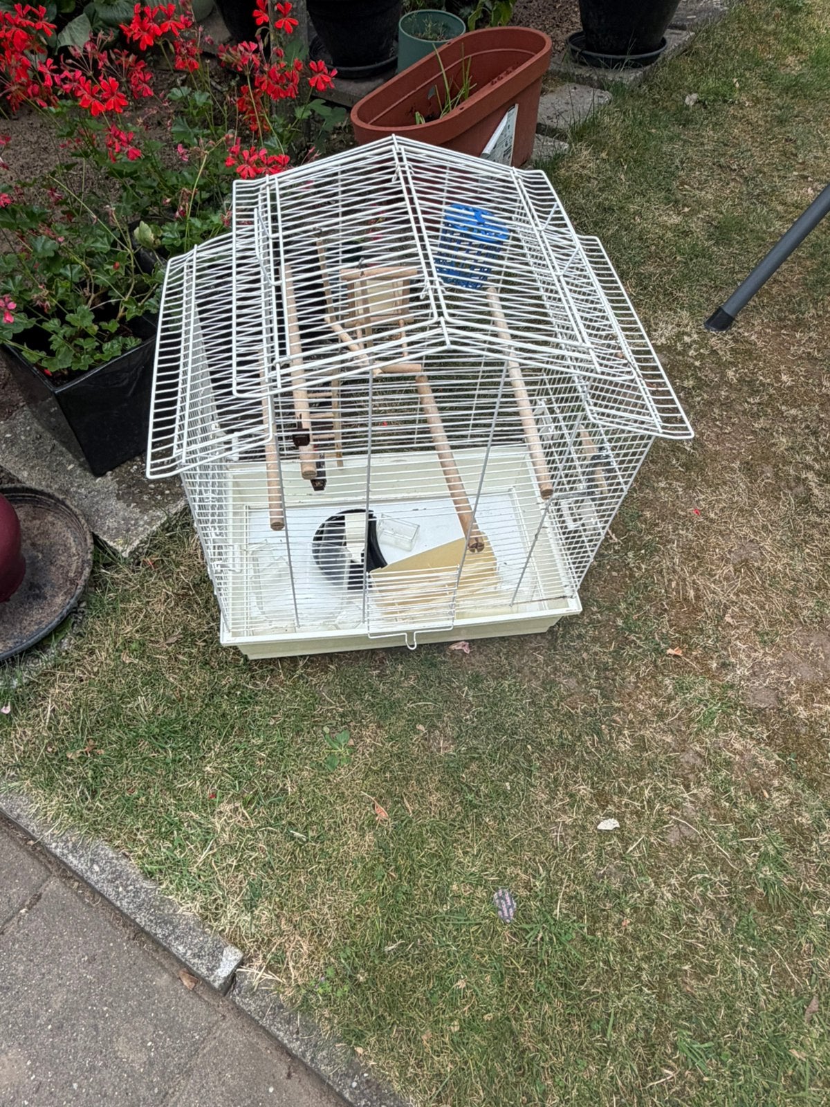 Vogelkooi, Dieren en Toebehoren, Ophalen, Zo goed als nieuw, Metaal, Vogelkooi