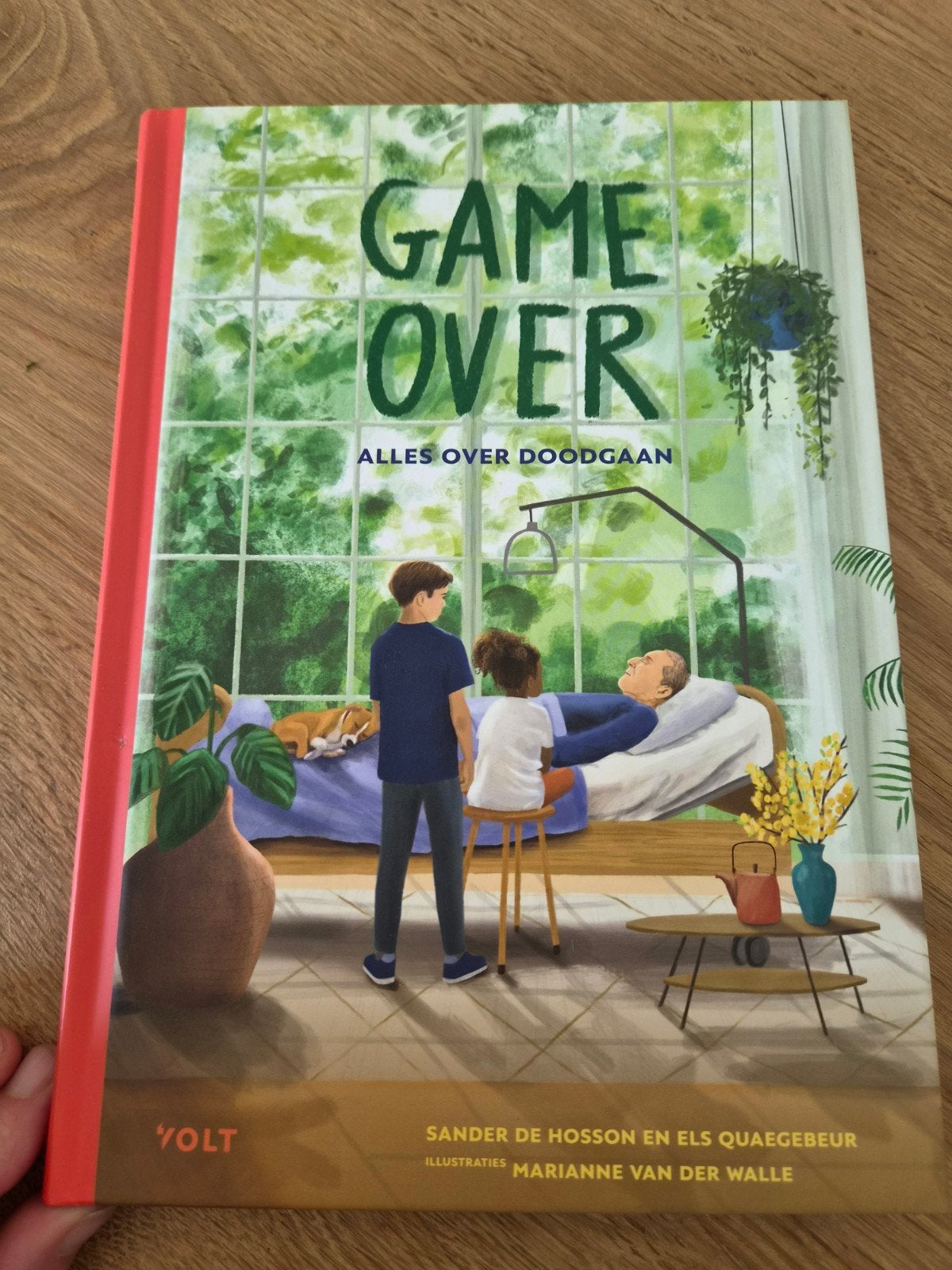 Game Over: Alles over doodgaan - Kinderboek, Ophalen of Verzenden, Zo goed als nieuw, Sander de Hosson en Els Quaeghebeur