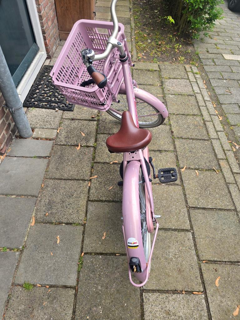 Bikefun Cargo Load 20 inch kinderfiets, Ophalen of Verzenden, Gebruikt, Terugtraprem, 16 tot 20 inch