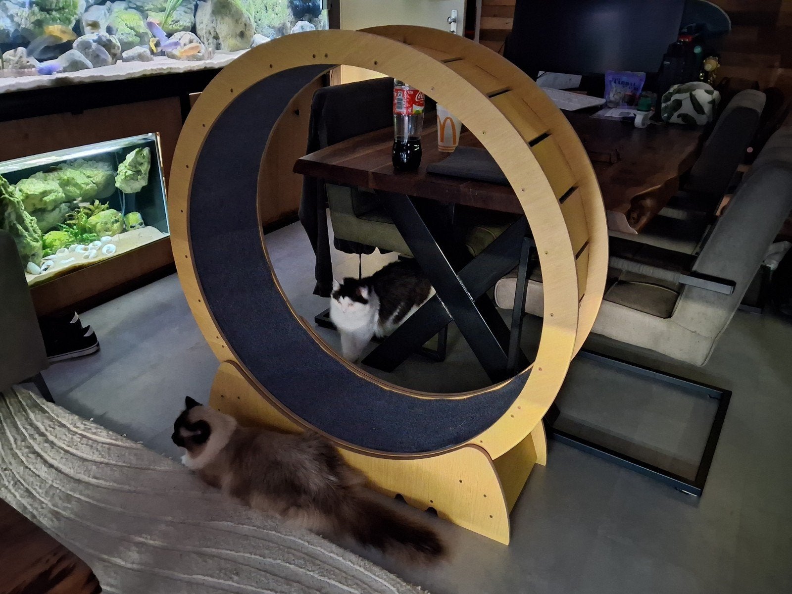 Katten loopwiel, Dieren en Toebehoren, Ophalen, Zo goed als nieuw, Overig speelgoed