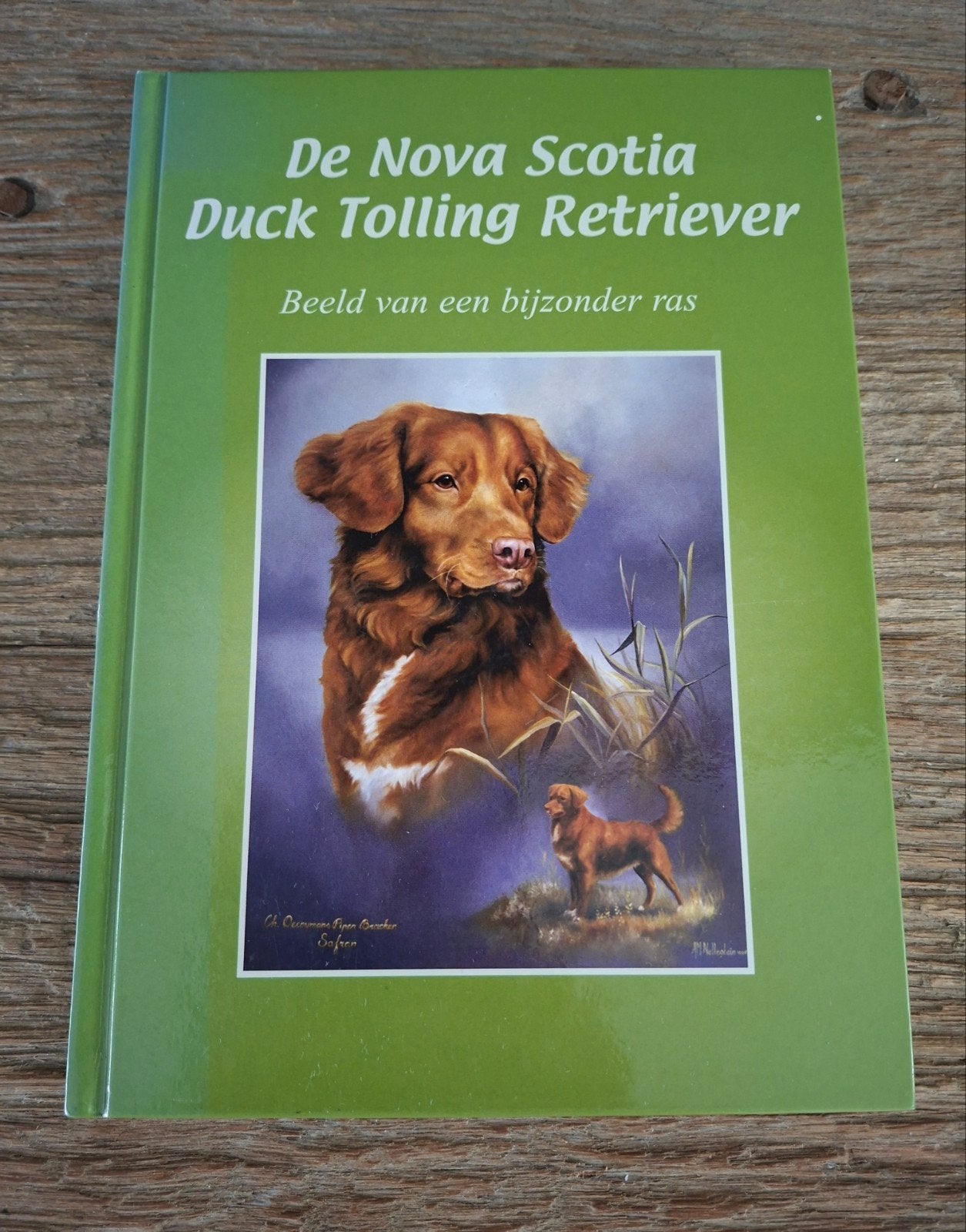 De Nova Scotia Duck Tolling Retriever boek, Honden, Ophalen of Verzenden, Zo goed als nieuw, Judith Gieskens